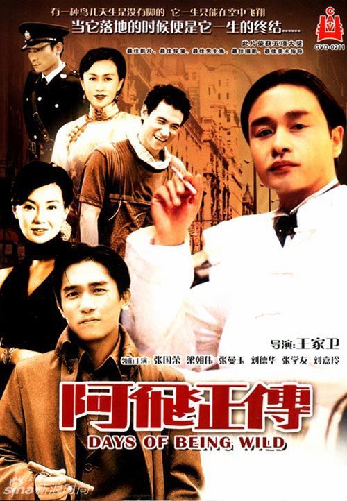 第一薬科大学 Business diplom